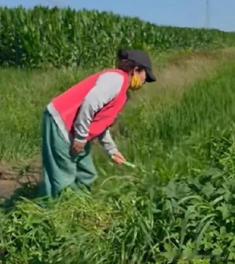 小故事！
   这王百万 看这大热的天，王百万正在地里割草，本来 王百万正在广场