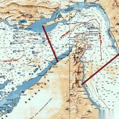 海外社交平台近期流传的一张白宫官方梗图，在多国网友圈层引发持续热议。这张对外投放