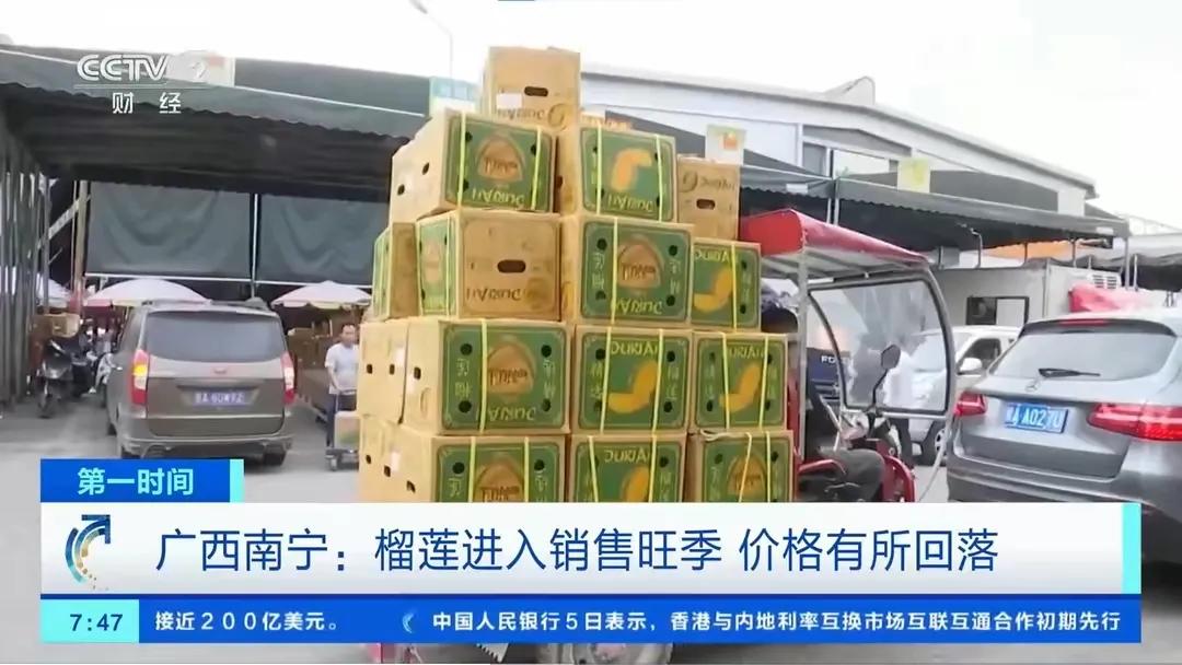 5月6日，据央视财经报道：进入5月，口感绵密、味道独特的榴莲在广西等地迎来了成熟