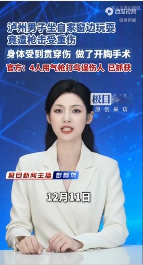 泸州男子坐自家窗边玩耍竟遭枪击受重伤，官方：4人用气枪打鸟误伤人，已抓获并移送检