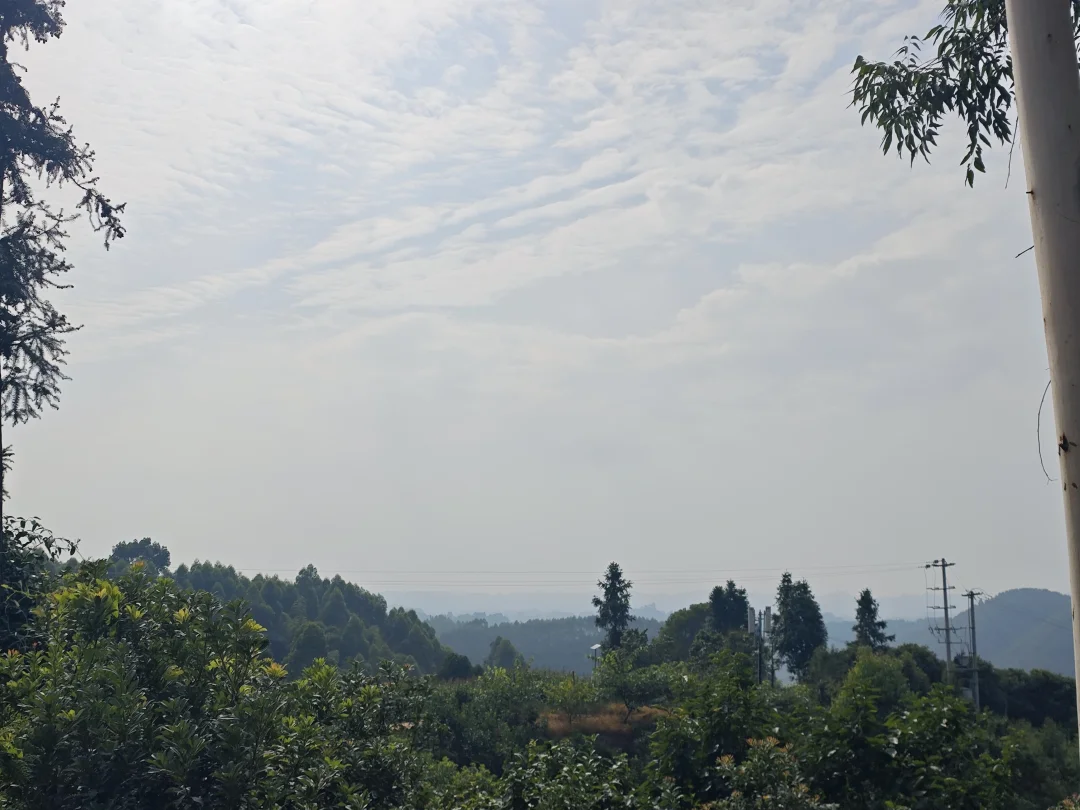 川L地平线脏