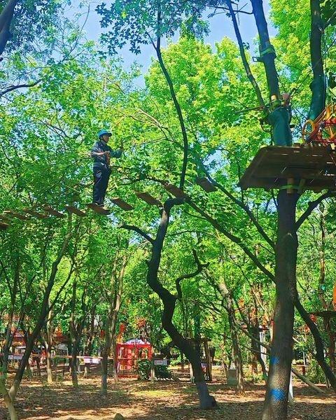 📍广州 广州龙头山森吧飞越树上探险乐园
森临其镜，吧玩心跳——森吧探险乐园