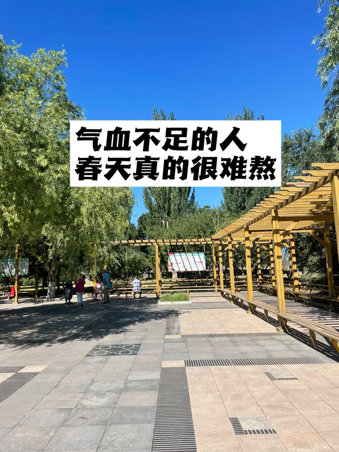 气血不足的人，春天真的很难熬.