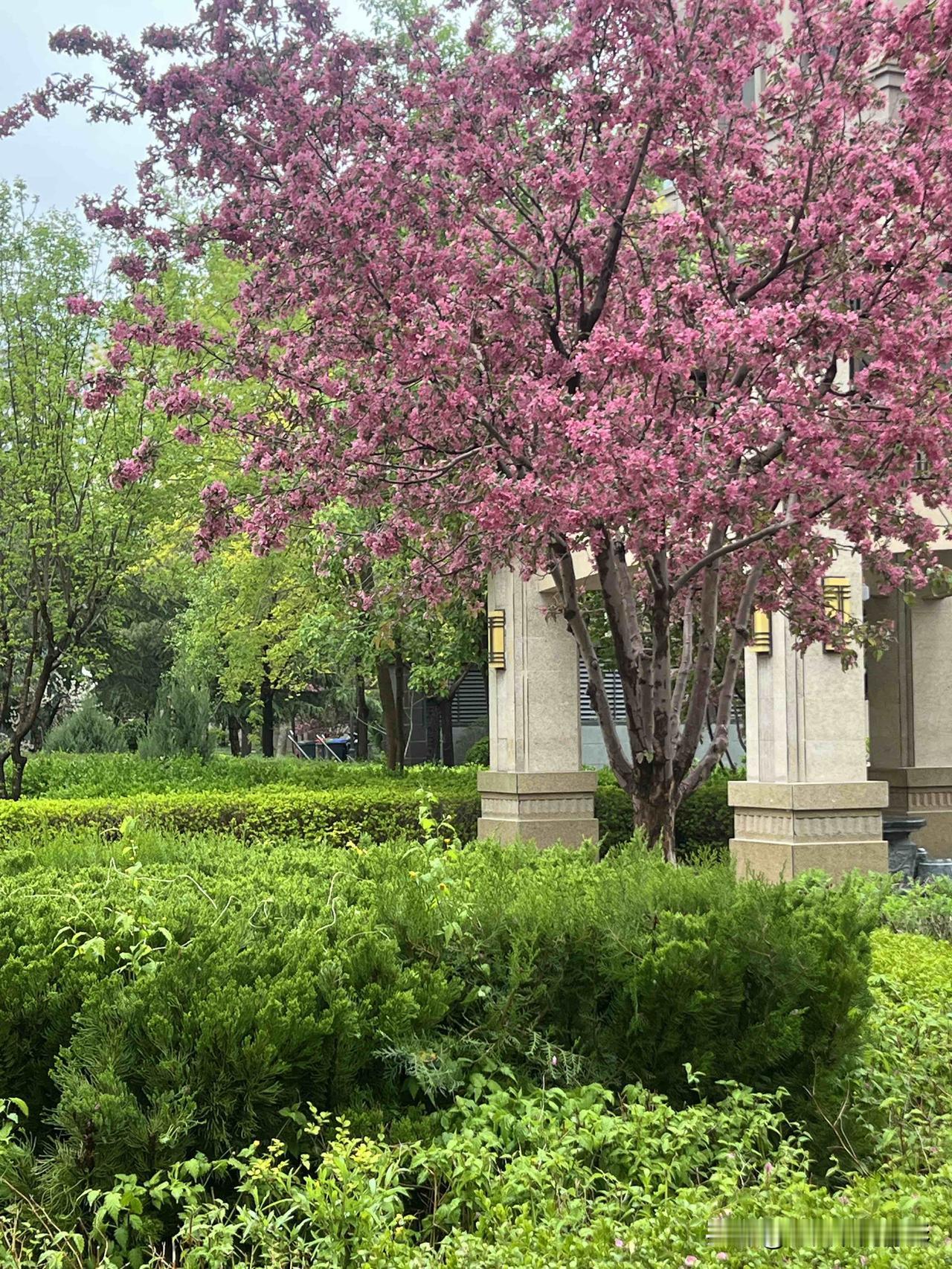 人过六十岁后，该看淡，该放下，不计较得失，不认死理

60岁以后感悟 当过六十岁