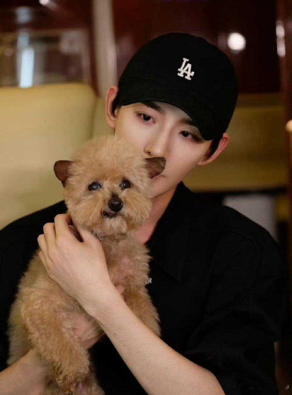 邓为的狗去世了好可爱的狗狗，他一定很伤心 