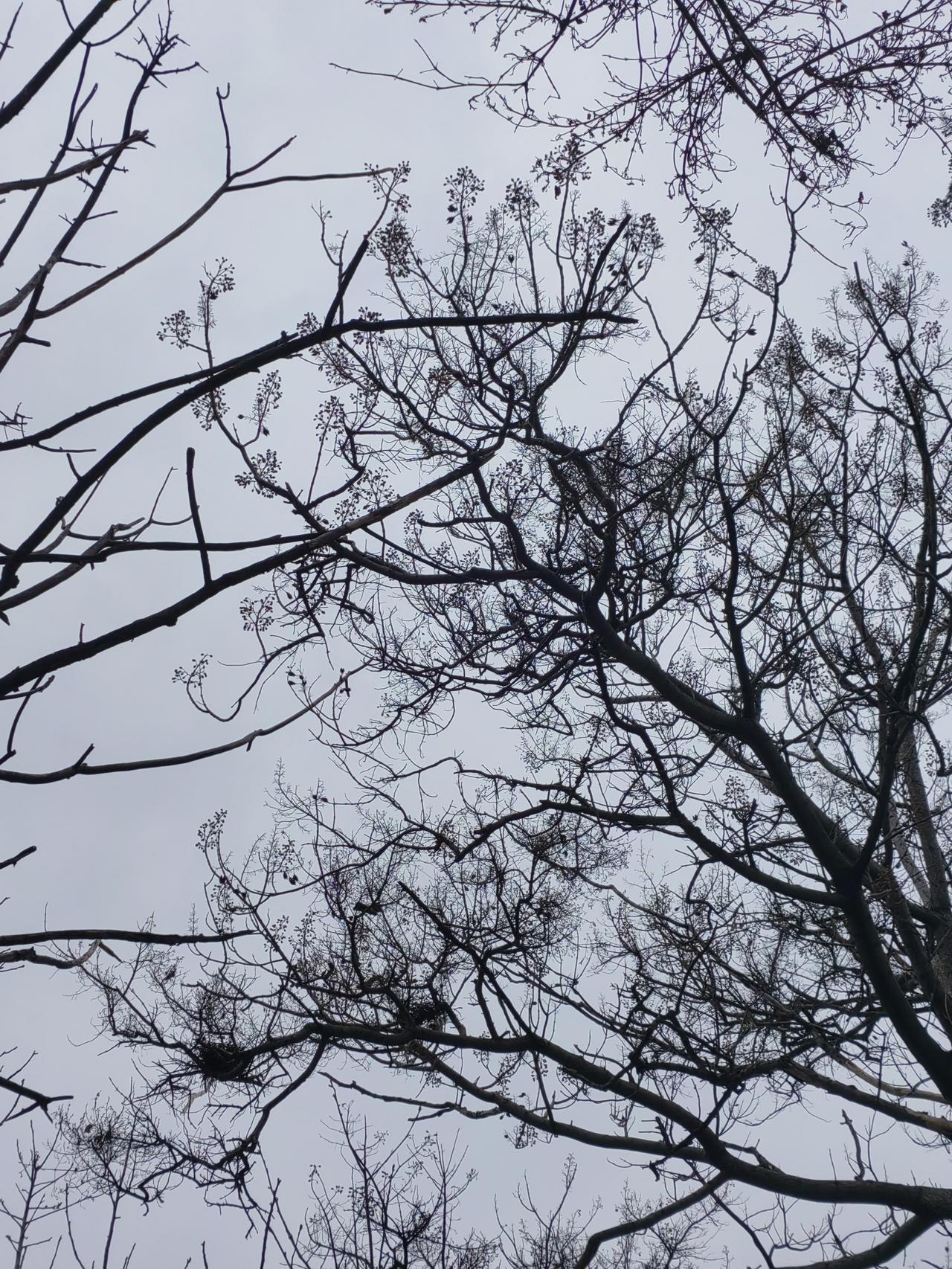 某单位老职工，前几年参与非法集资，把老两口的全部积蓄投了进去，司法机关追回部分资