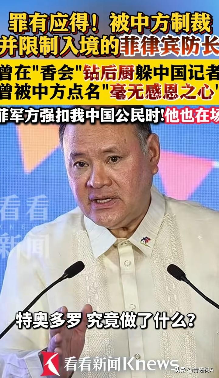 宁为西方犬，不做中国友的菲律宾防长特奥多罗曾出言：感谢自己的祖宗早早离开了中国。
