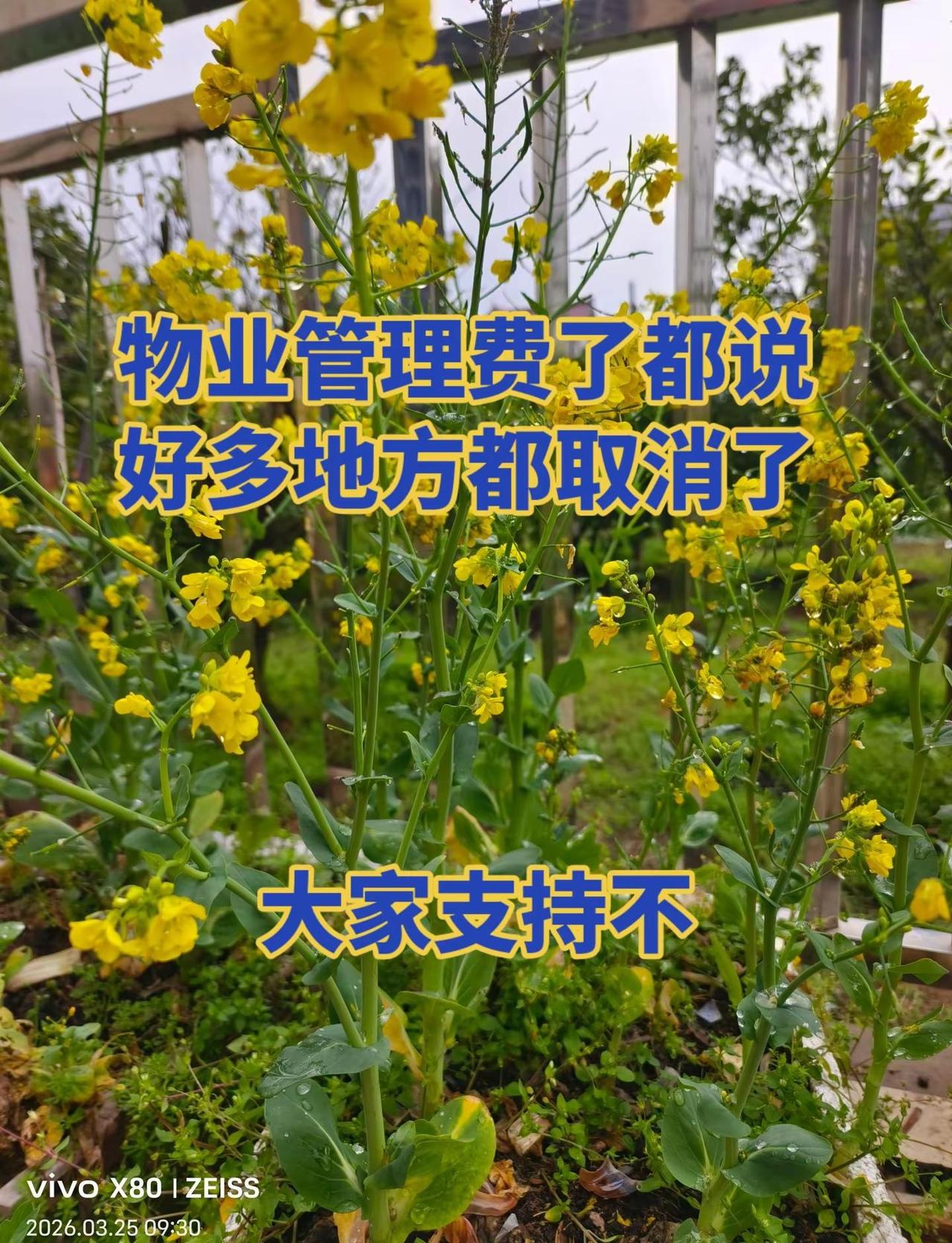 物业管理 物业 物业费怎么交 取消 房子