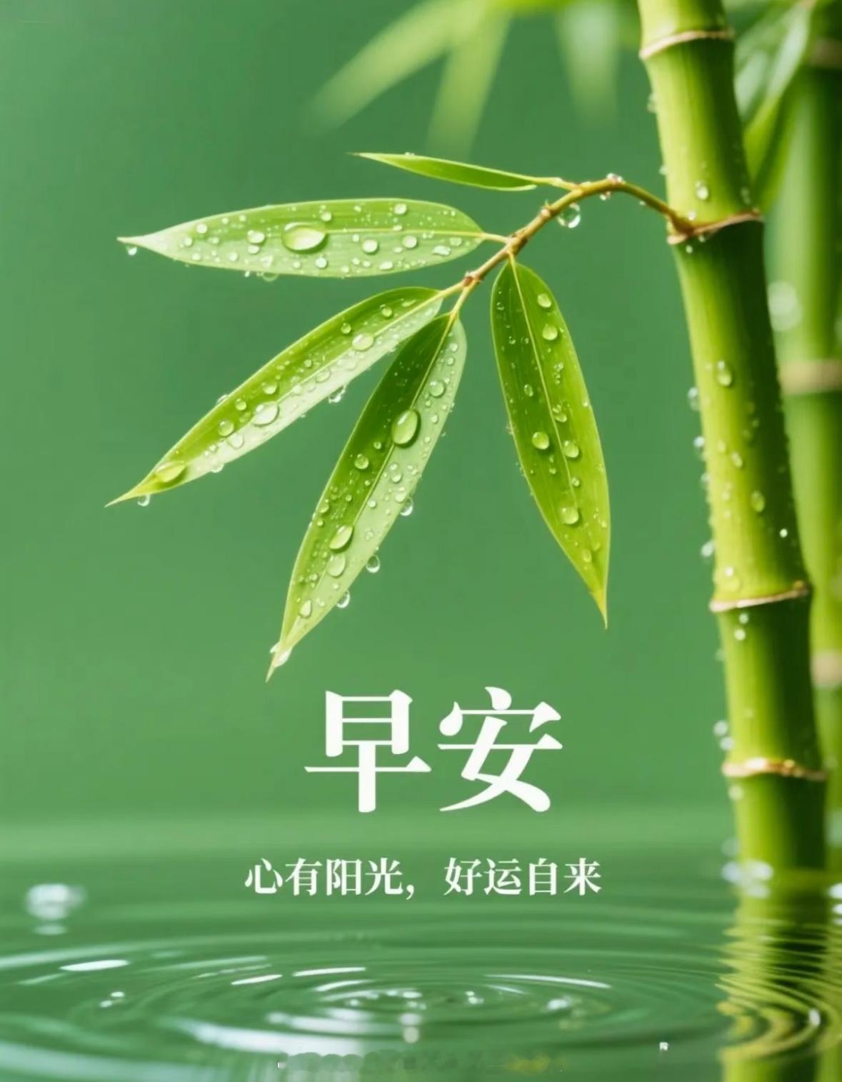 早安！新的交易日正式开启。收拾状态，盯紧盘面，今天继续精准布局，稳稳拿下行情。黄