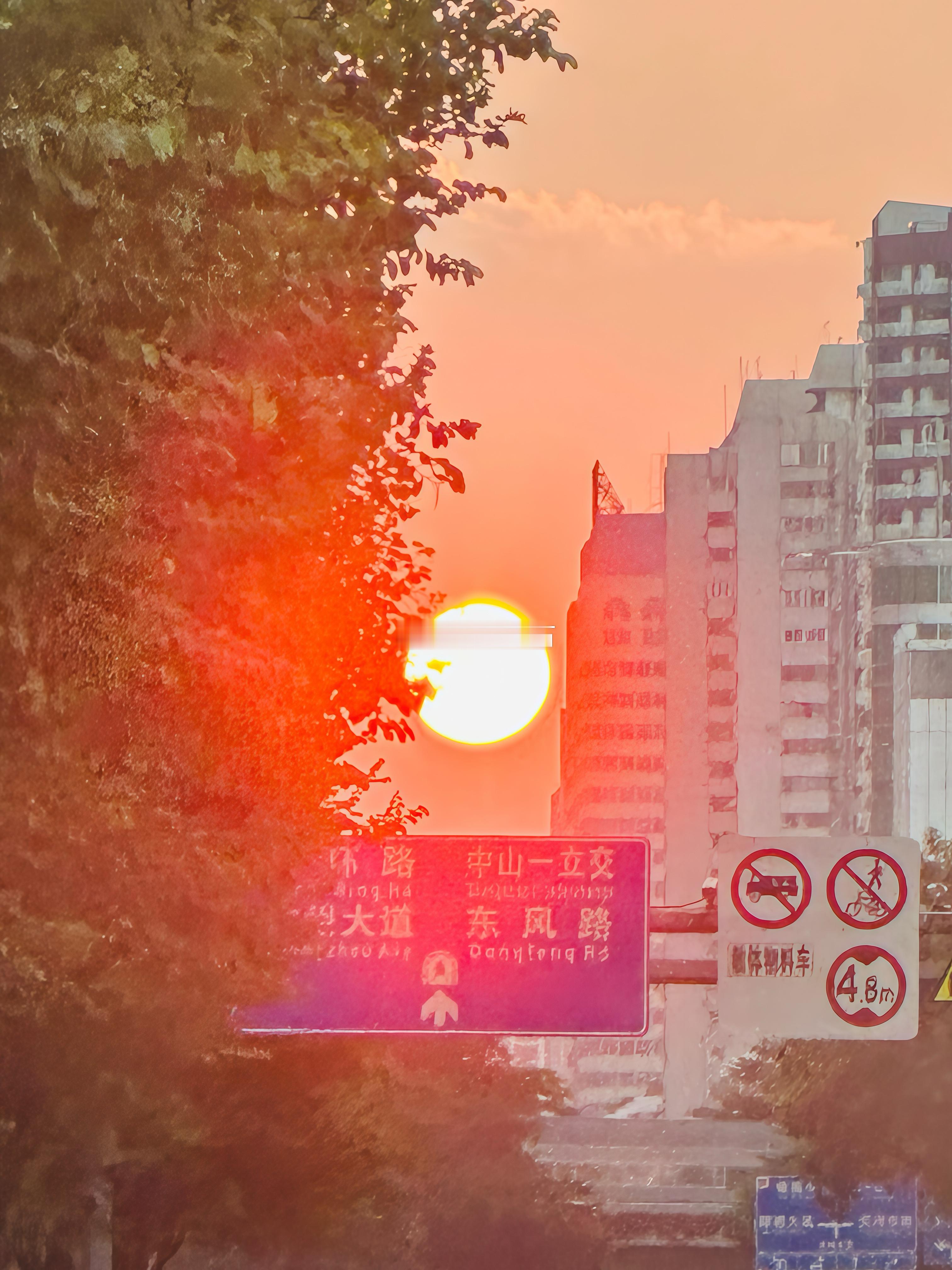 近来运势走低，急需闭关休养，🌄生活手记  ​​​
