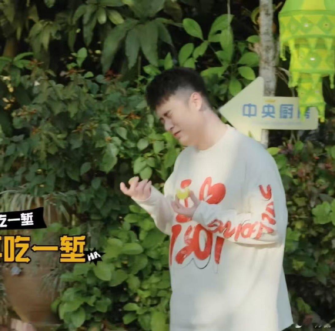 五哈还想让陈赫吃什么陈赫在五哈吃蚂蚁 五哈还想让陈赫吃什么，蚂蚁都吃上了 