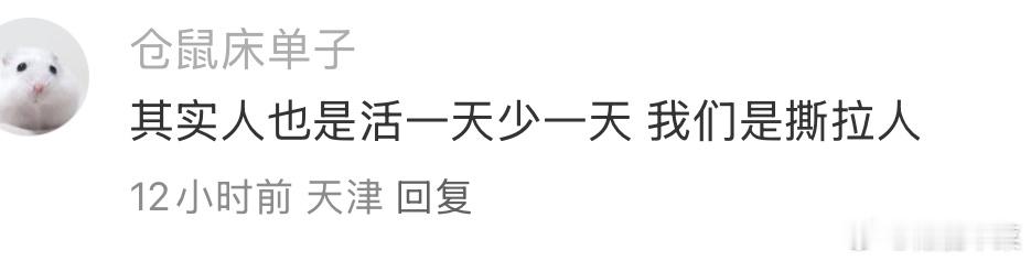 拍一张少一张的是撕拉片人活一天少一天 我们是撕拉人天才哈哈哈哈哈哈哈哈 ​​​