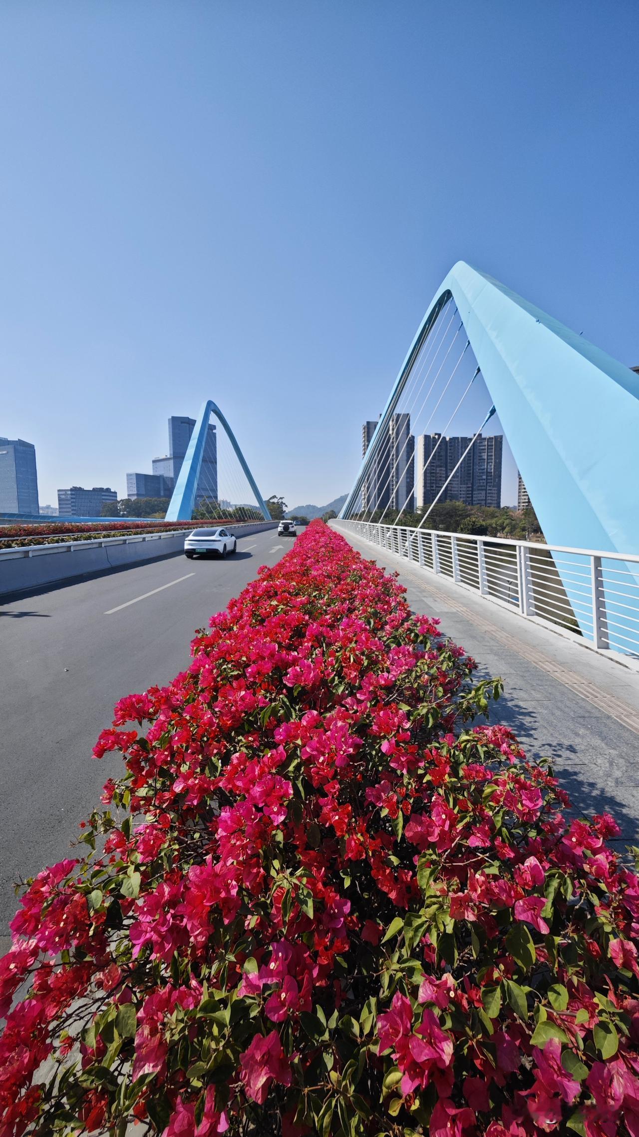 蕉门蝴蝶桥，这么多年过去了，依旧还是十分惊艳。感觉还是那段时间南沙的建筑设计很在