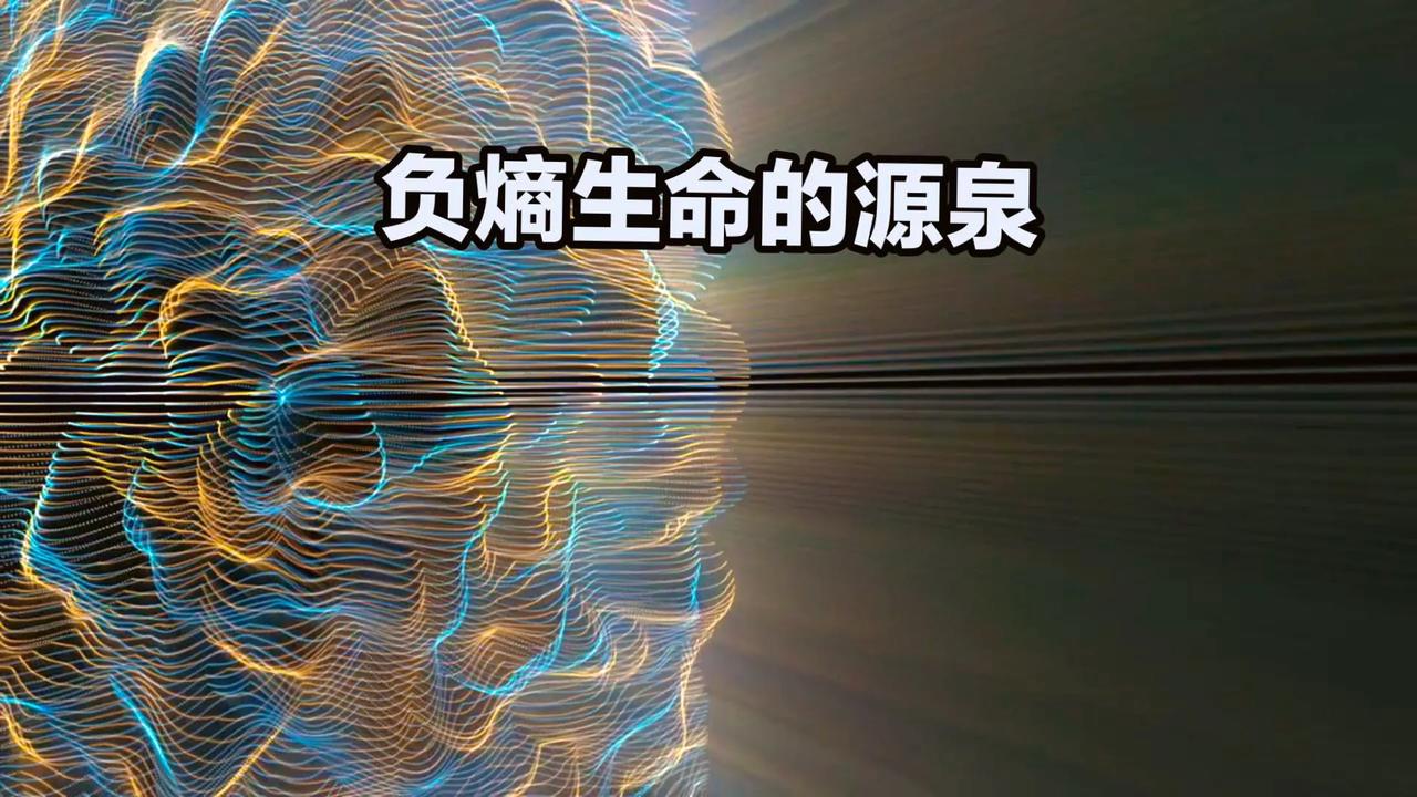 衰老从熵增（正熵）开始
你知道为何负熵被称为生命的源泉吗？可以抗衰增寿吗？
负熵