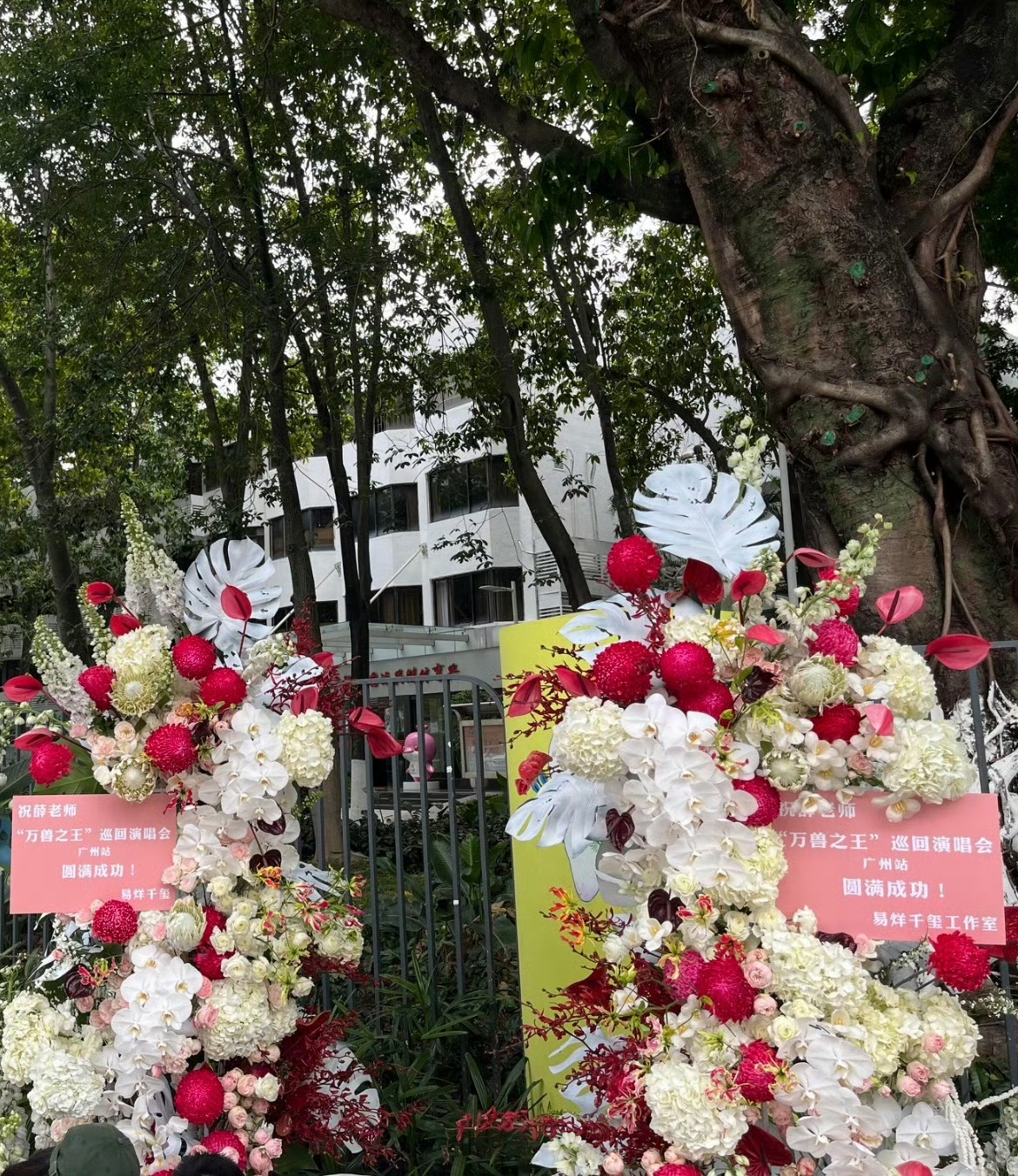 易烊千玺给薛之谦演唱会送花篮 易烊千玺给薛之谦演唱会送花篮好美的花篮！审美太好了