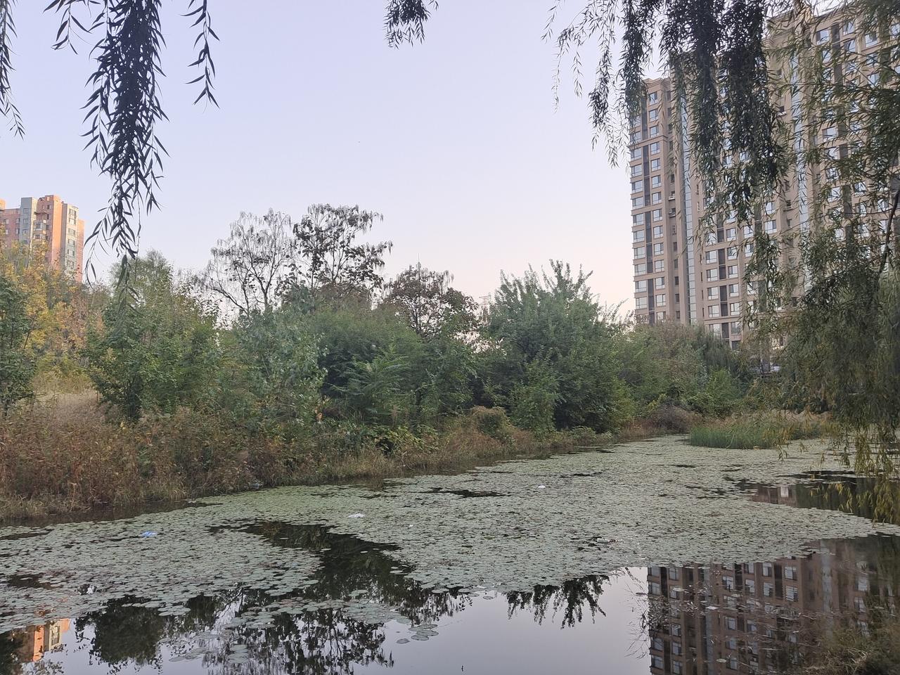 秋天的风景