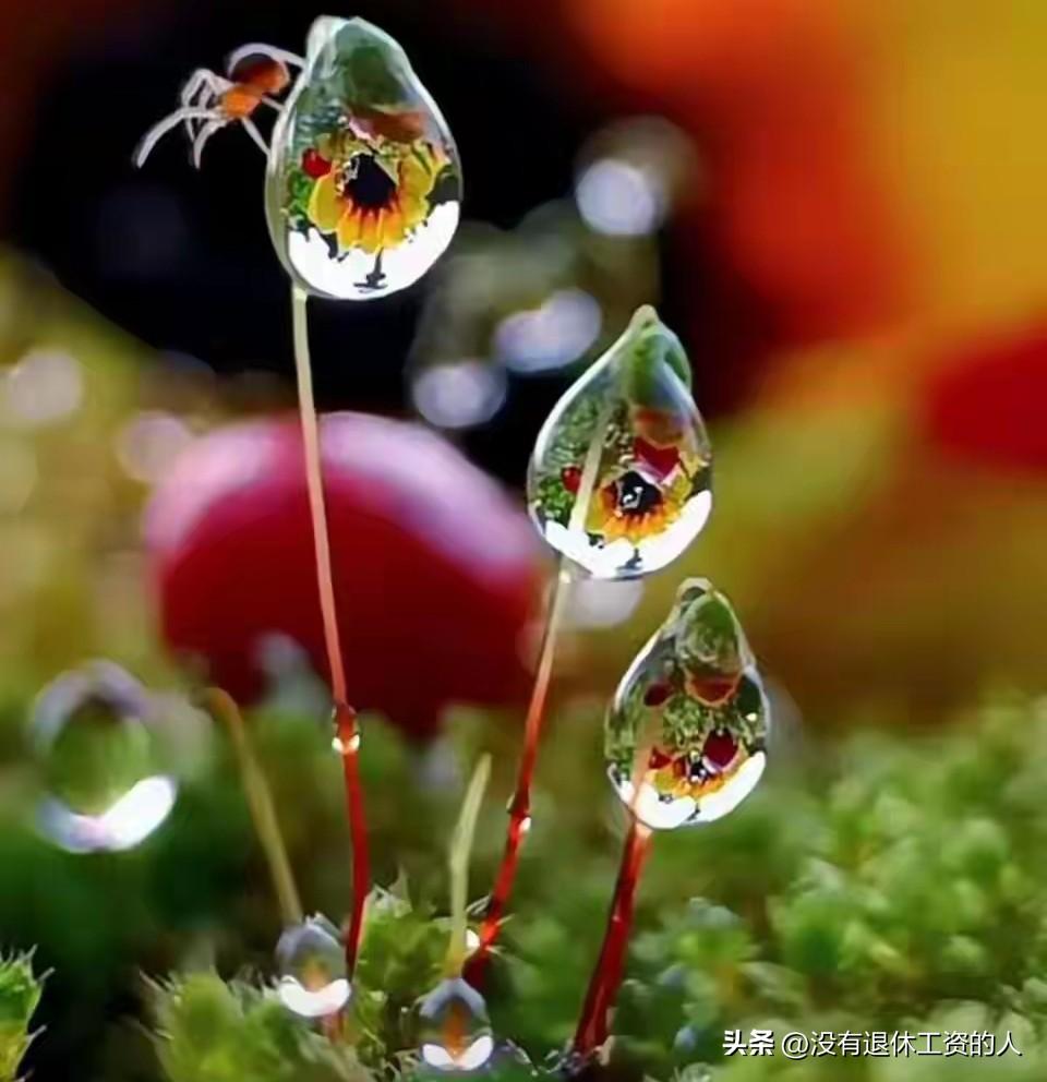 分享我这周有趣的事：头条自从有了首发这个功能，我是一次次的踩坑，连信用分都被扣了