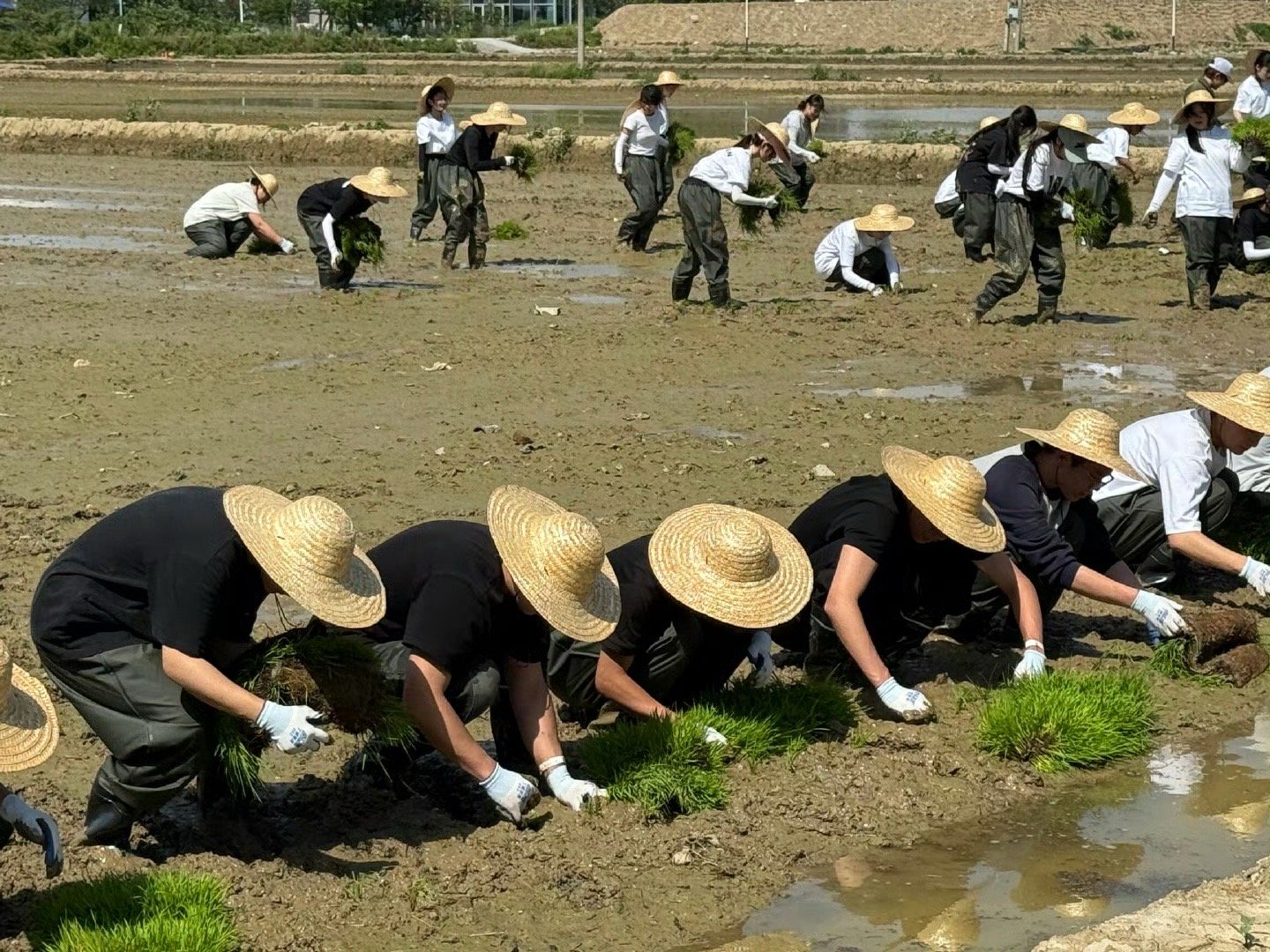 种地吧sos下地即陷泥 种地吧sos下地即陷泥 种地吧下地即陷泥 · 种地吧五一