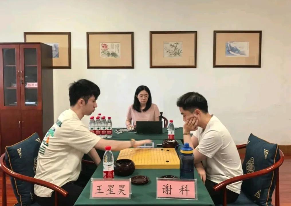 农心杯中国预选赛又战三场

范廷钰最后一个晋级第二阶段
杨鼎新和辜梓豪率先打进决