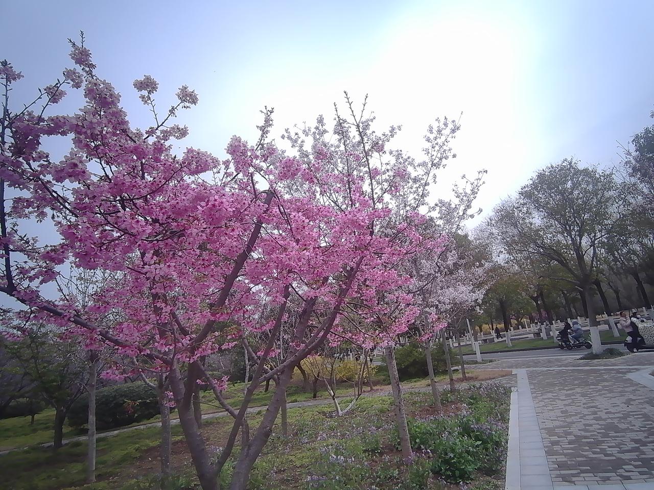 现在大家都喜欢拍照打卡，我觉得背后其实是想记录并留住这一刻的美好。
每一次按下快