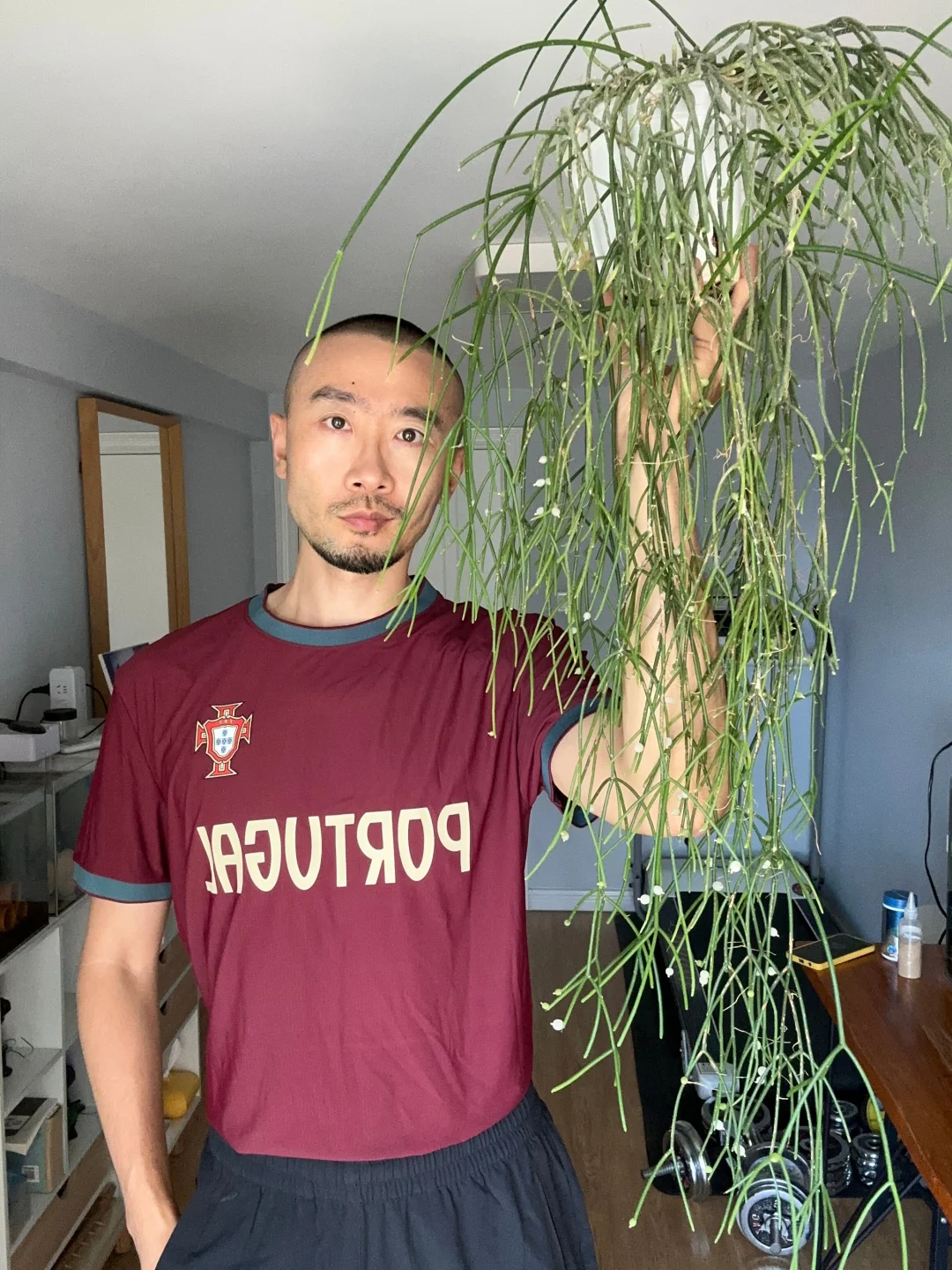 丝苇--棒叶喀秋莎