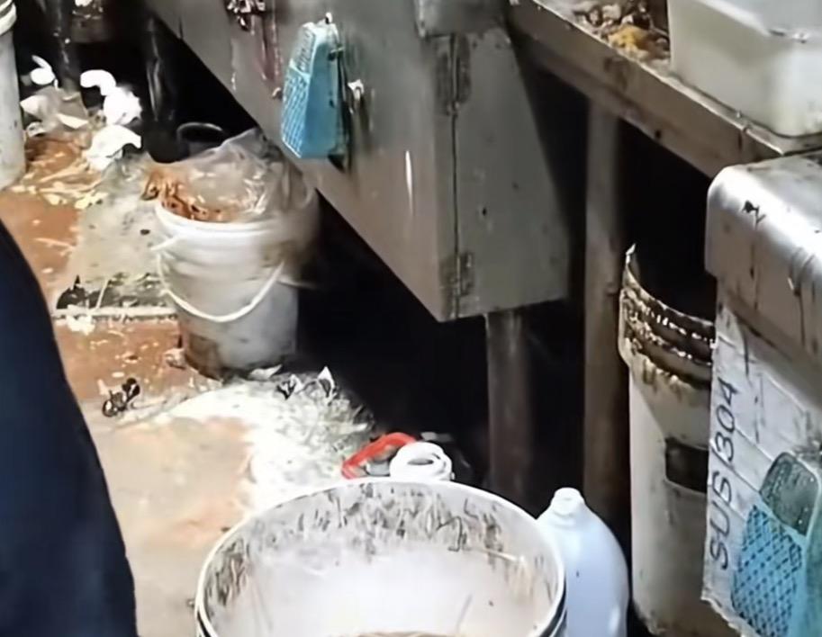 外卖行业新规将于5月20日施行，我们再也不用担心点外卖会踩坑了！
新规很长但总结