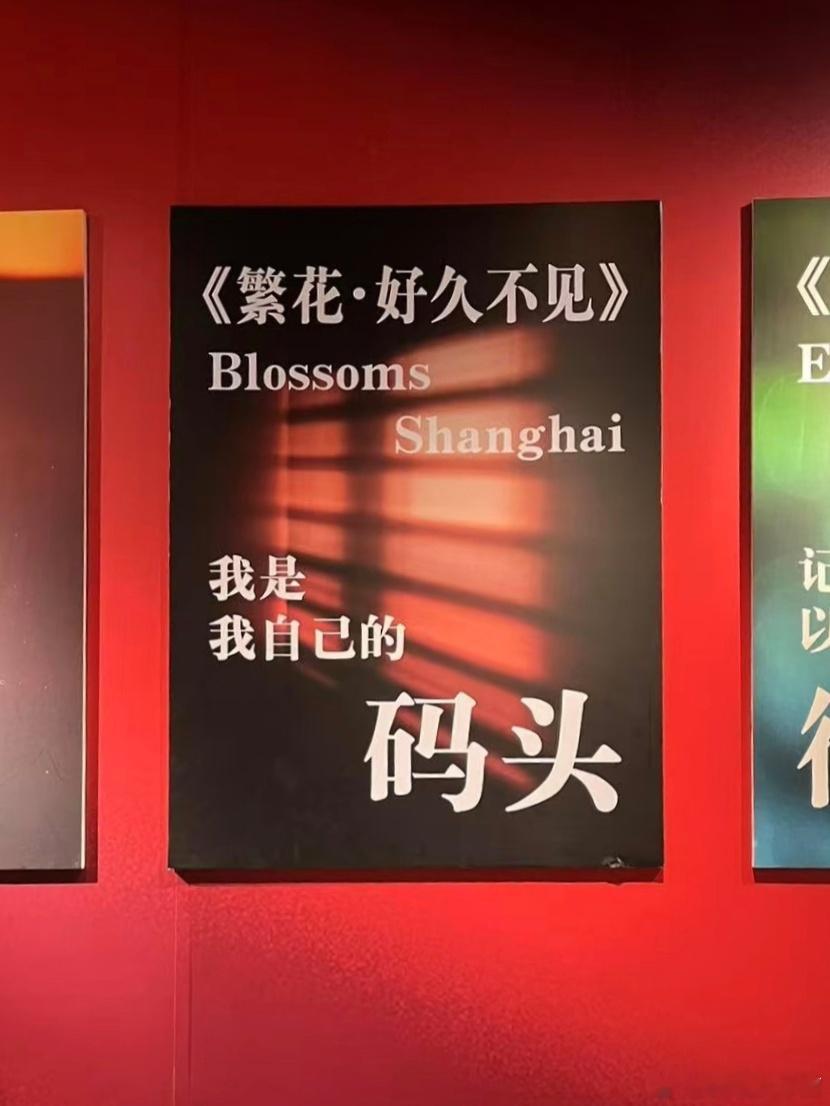 “繁花永续：王家卫作品收藏特展”（苏州站）随处可见、高频出现的汪小姐（唐嫣饰演）