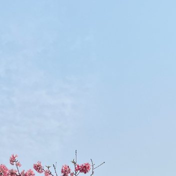 苹果种植方法一、科学田间的管理：每隔两年进行一次深耕，松动土壤，破除板结，增强透