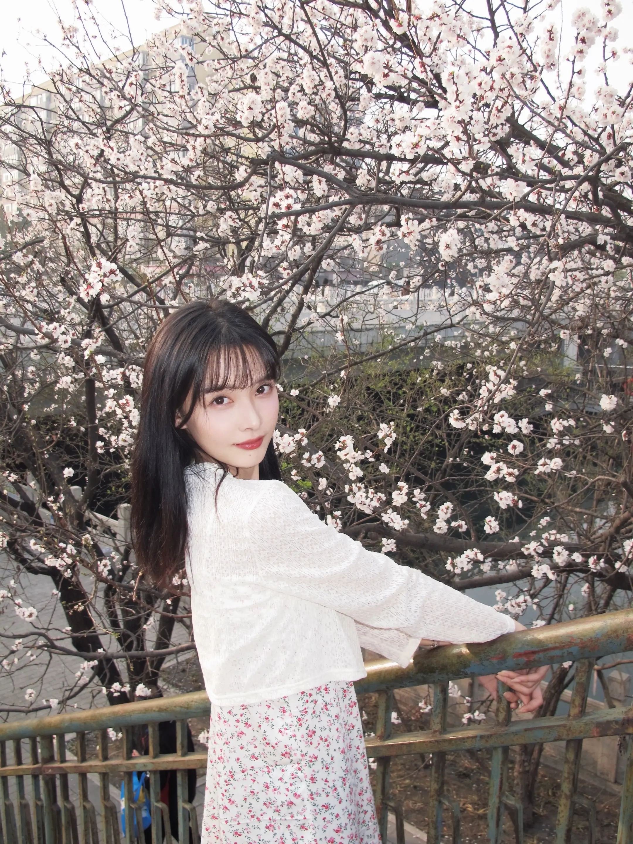 樱花樱花想见你🌸。