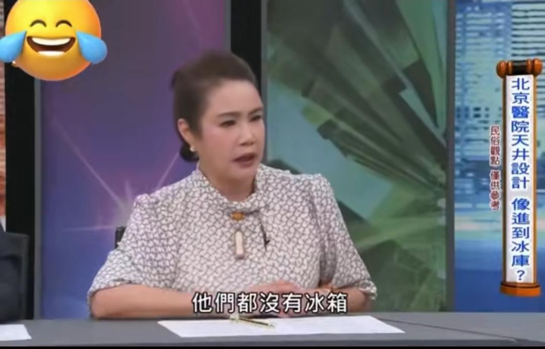 湾湾的节目是不是要靠抹黑我们来提高收视率的呢？这些搞笑的嘉宾是怎么做到说谎不脸红