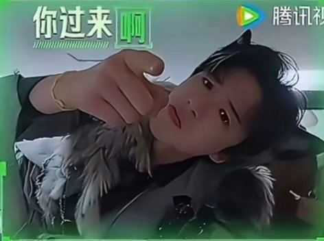 这一期是毛茸茸的小狼宝。wof wof wof~🐺宁瞅啥刘宇宁扫地破案两不误刘