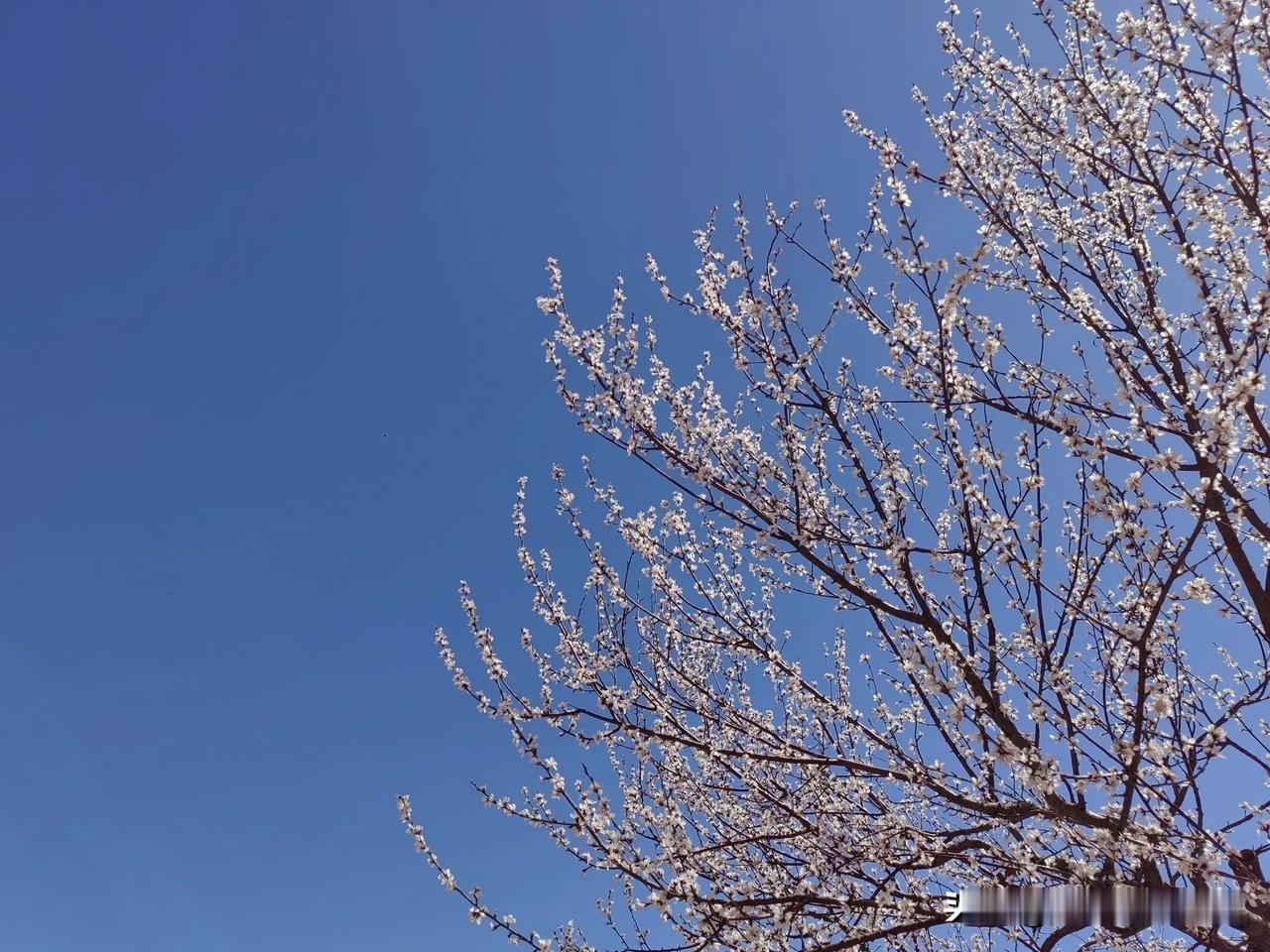 没有在深夜失眠的人，不足以谈人生！
原句是“没有在深夜痛哭的人，不足以谈人生”，