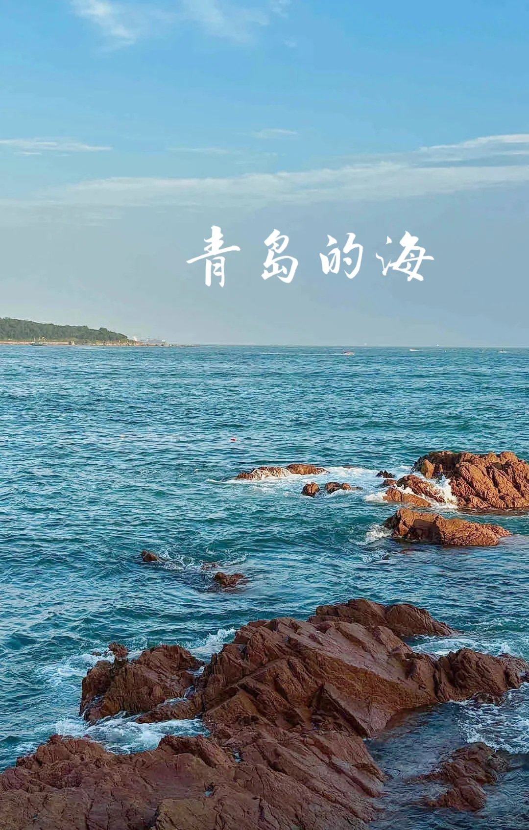 青岛旅游|主打一个听劝就能玩好