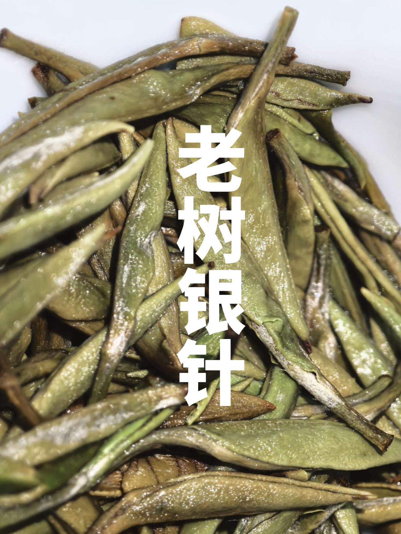 今日阴天，没有太阳☀
冬天嘛，是必须需要晒太阳的
天气阴沉，无风也觉得寒冷入骨