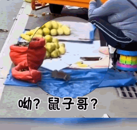 第一次当小偷
没经验