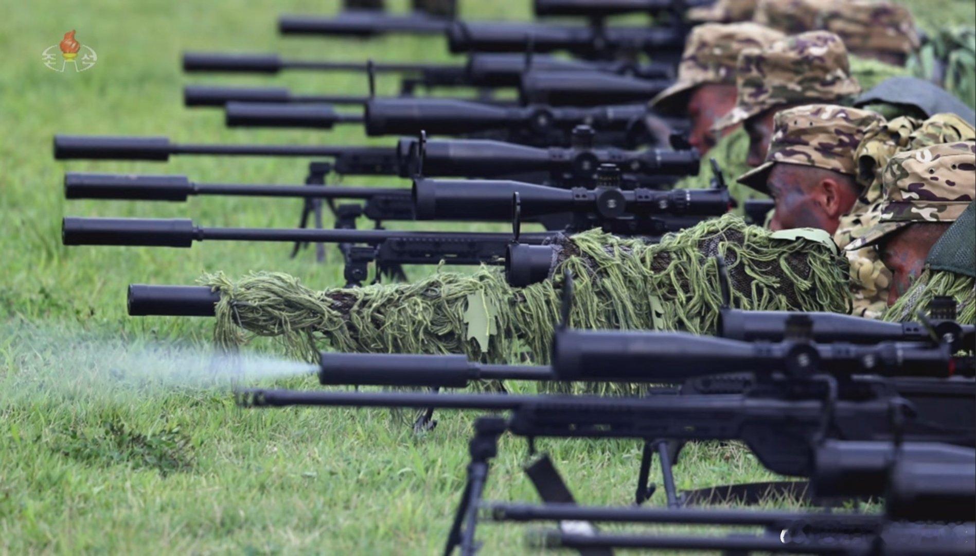 斯泰尔SSG 08……奥地利生产的栓动式狙击步枪。不知道什么途径走私的，量还不小