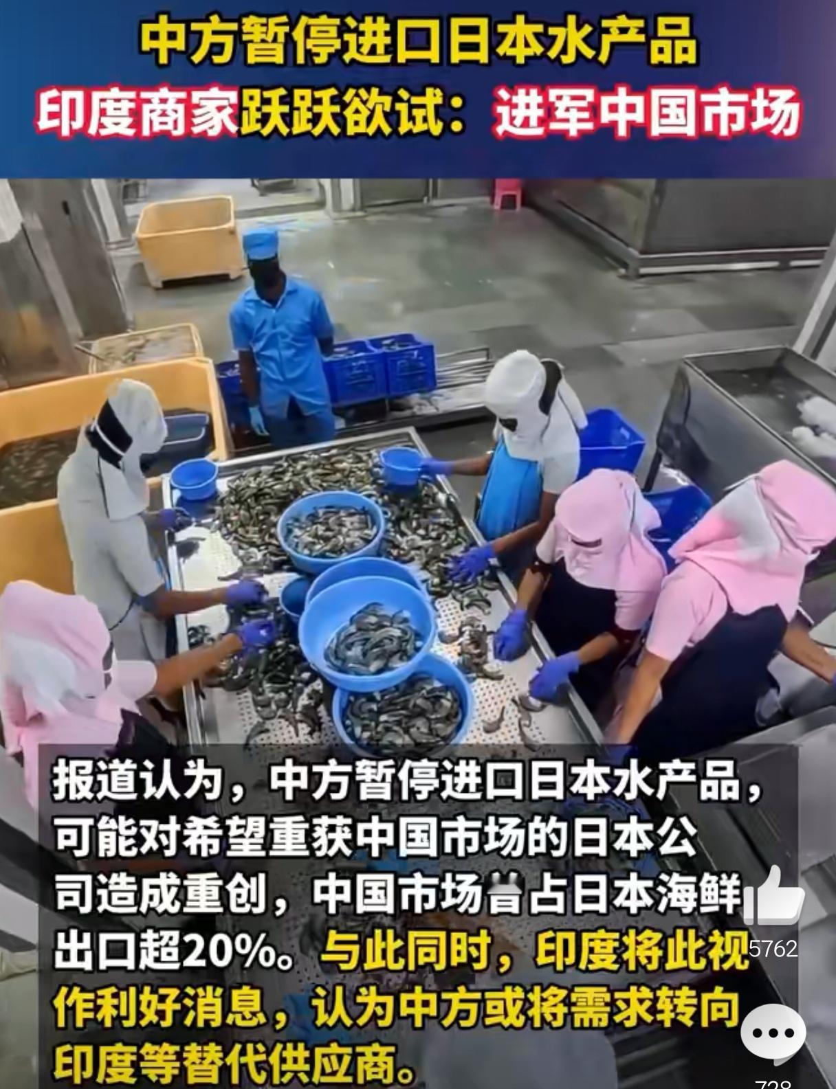 印度想卖水产品给中国，还是算了吧！

由于中国禁止了日本的海产品进口，那么这个市