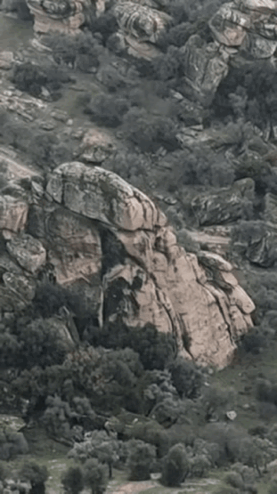 厉害！天下无双！