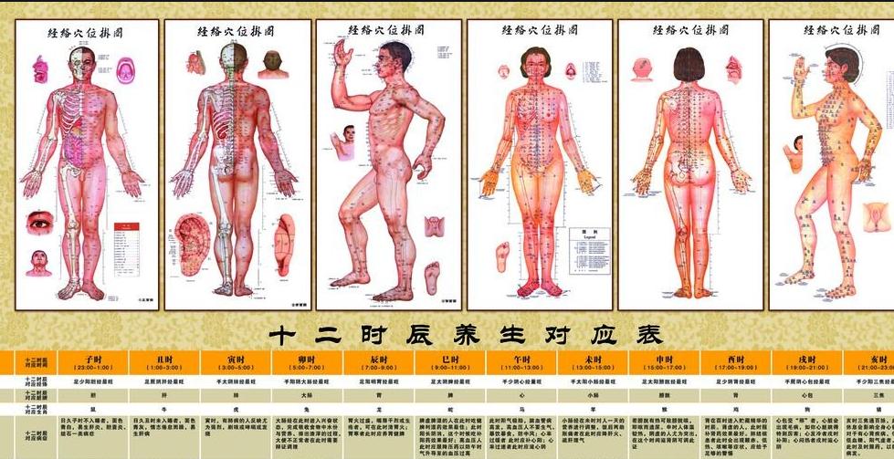 用一个穴位既调肝又健脾，还统管五脏！

在繁忙的现代社会中，人们常常因为生活压力