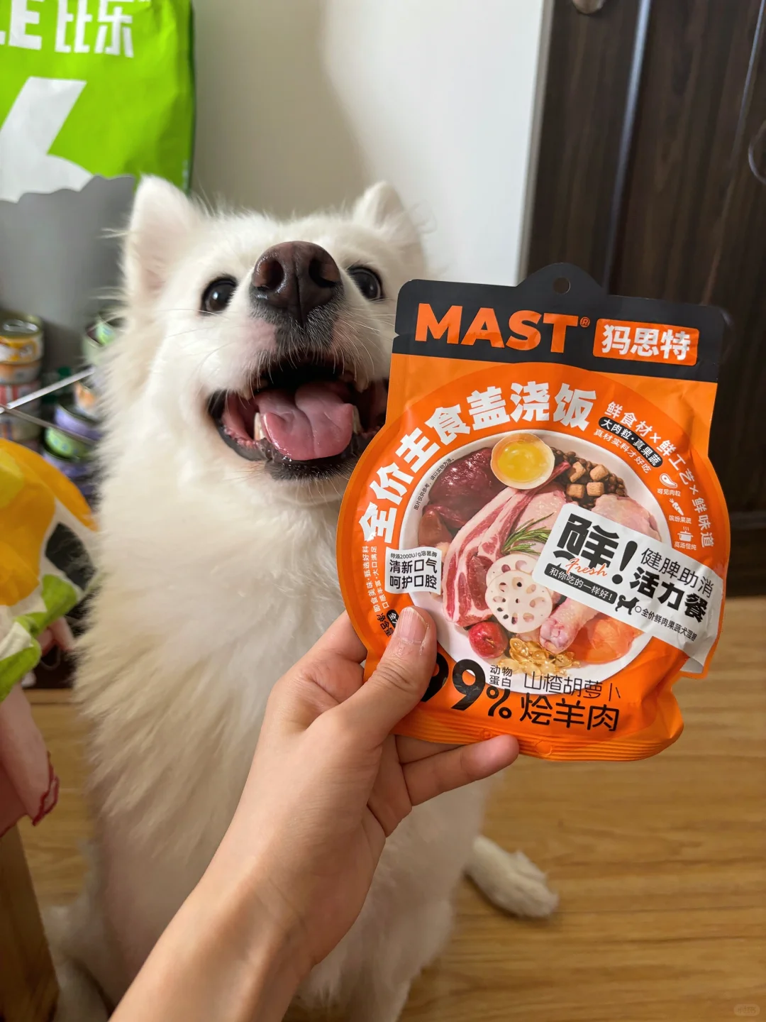 什么！！团团也能吃盖浇饭啦？！🥗