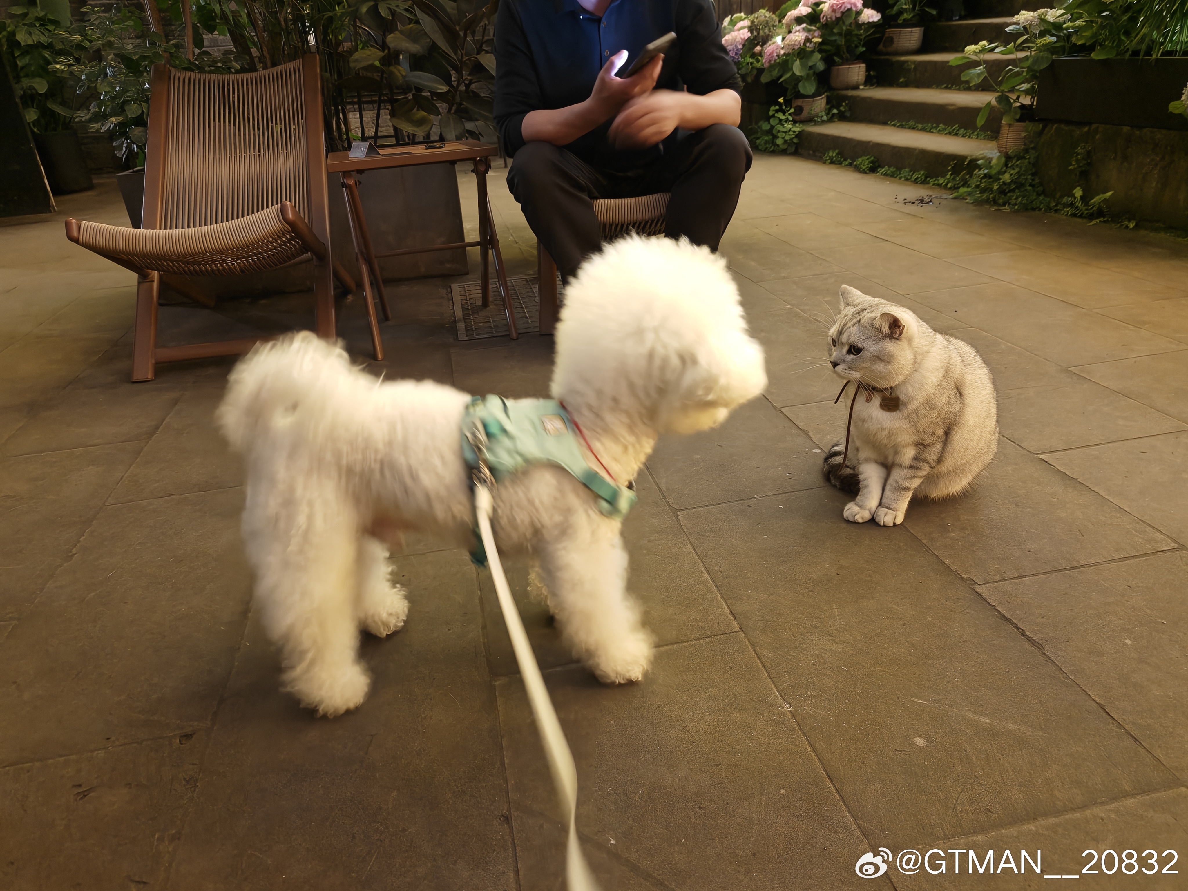 下浩里可能算是国内难得有审美的老街项目，没有五颜六色的灯光很关键。 