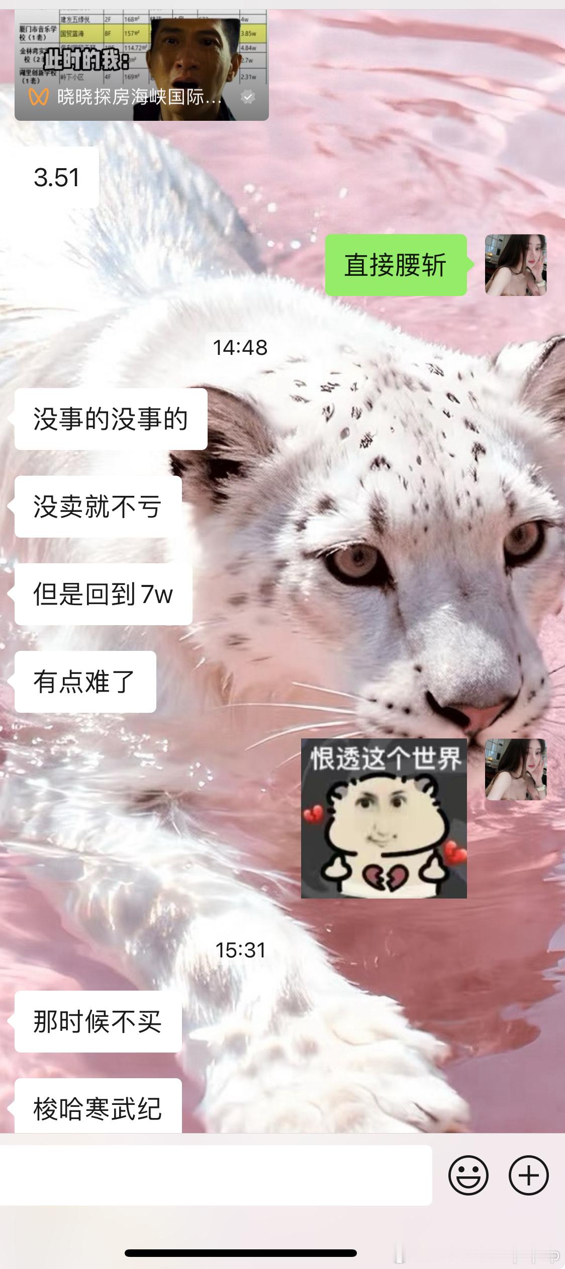 我厦门的房子已经腰斩了 还有什么比这更让人心痛的事情 果然最好的投资就是不投资