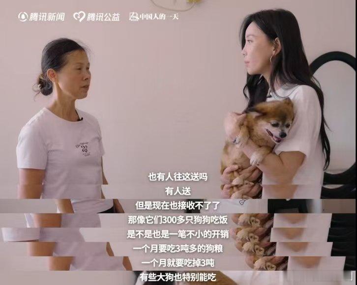 于文文呼吁不要残忍抛弃宠物  救助站的力量真的太单薄啦，于文文站出来发声，拒绝残