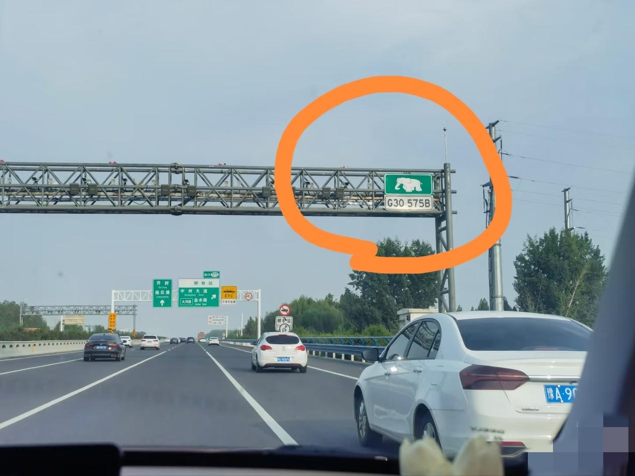 老司机们帮看看，在高速公路上看到这个标志懵圈了！谁能告诉我，这个小象标志是什么意