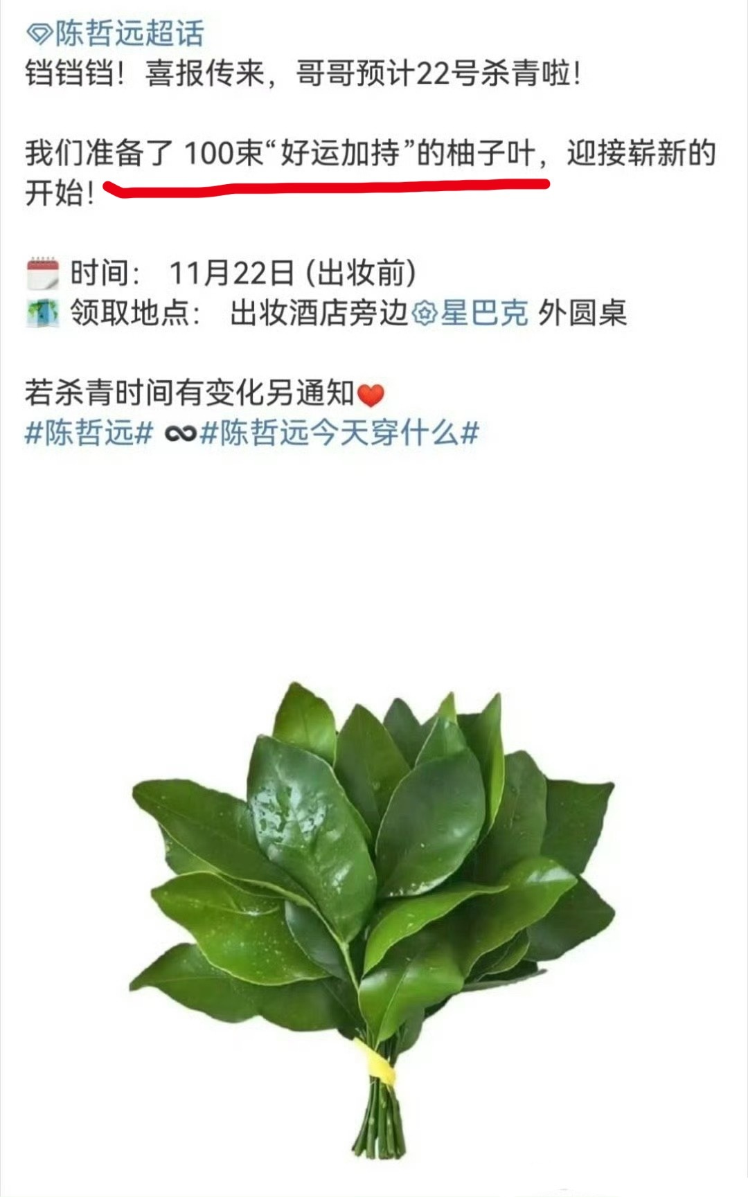 柚子叶在内娱开枝散叶