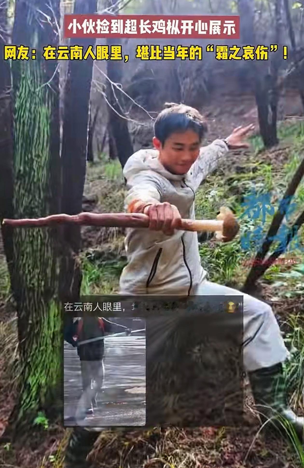 “捡到宝了！”重庆，小伙跟朋友上山采野味，采着采着，他朋友突然一路小跑冲了过来，