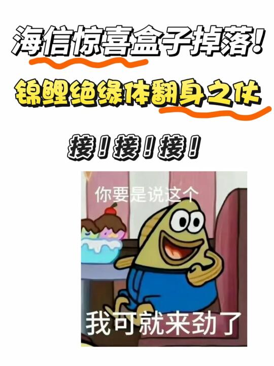 锦鲤绝缘体翻身啦！快来接海信惊喜盒子