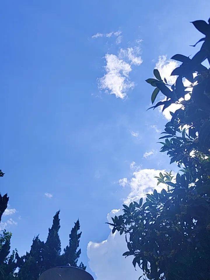 昆明的阳光真的很舒服！别的地方40度高温热成大火炉，昆明夏天却像春天，温度常在2