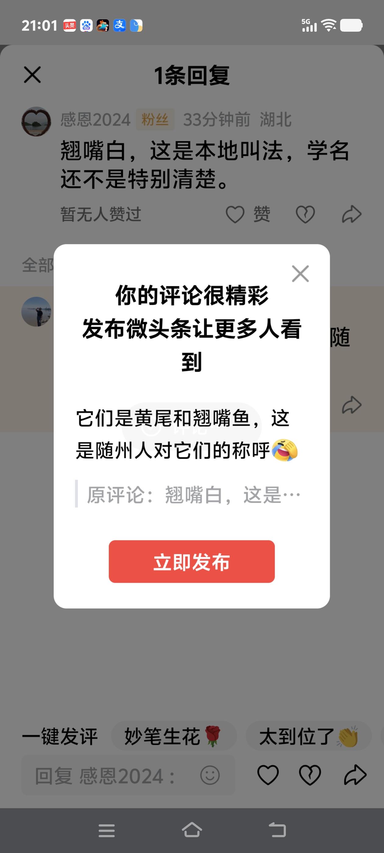 它们是黄尾和翘嘴鱼，这是随州人对它们的称呼[捂脸]