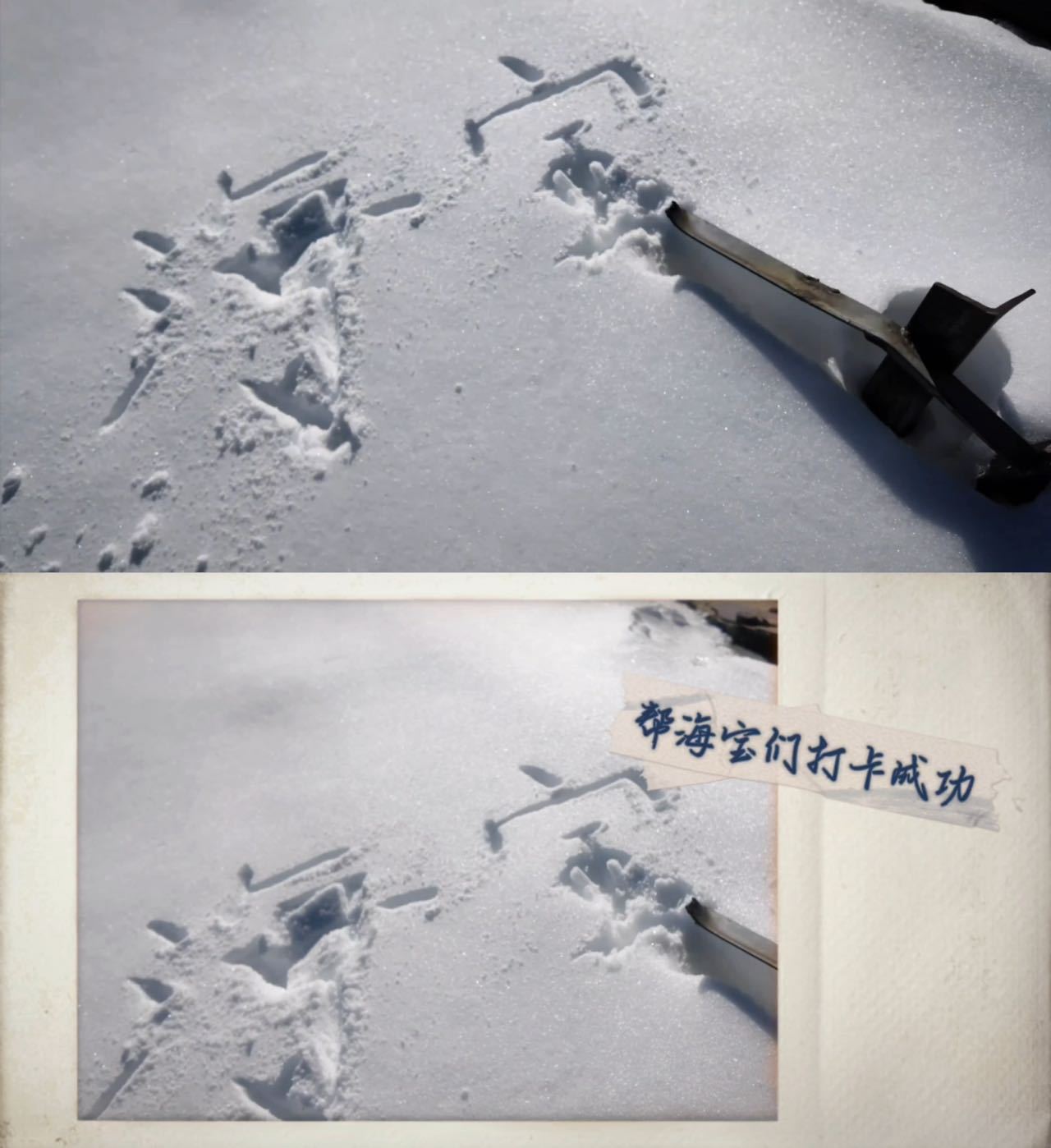 陈鑫海雪山手写粉丝名  原来这就是双向奔赴呀！真的要被海子感动哭了[苦涩]连出去